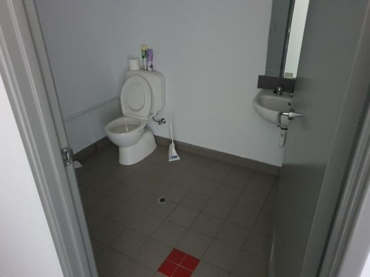 4 Toilets.jpg